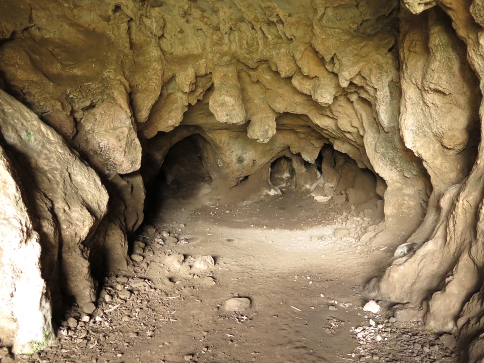 Borenore cave entrance